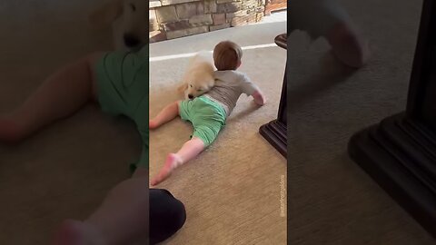 Heartwarming Moment When Puppy Meets Baby for the First Time ❤️