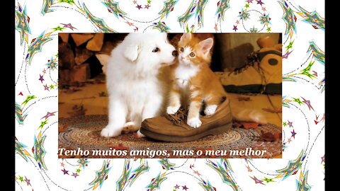 Tenho muitos amigos, mas o meu melhor amigo... [Frases e Poemas]