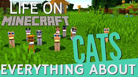CATS | Minecraft Marketplace - Official Trailer