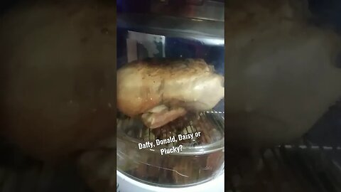 Cooking a Juicy Duck in an infrared oven, looks so Yummy Baybee!!