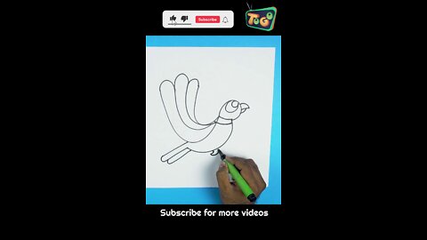 Draw a Parrot