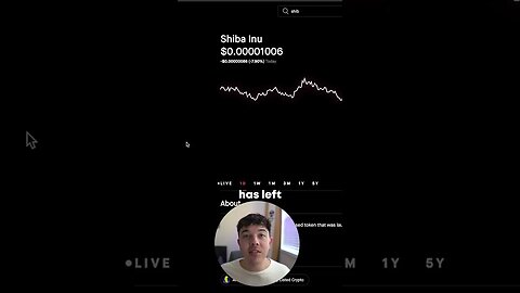 This Is Why Shiba Inu Coin Is CRASHING