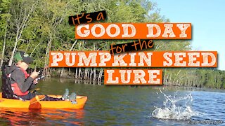 S1:E13 A Good Day for the Pumpkin Seed Lure | Kids Outdoors