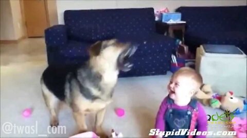 A kid playing with a funny dog