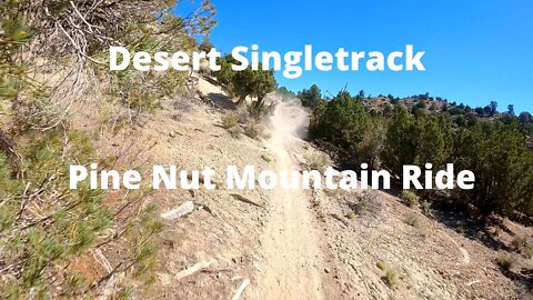Desert Singletrack