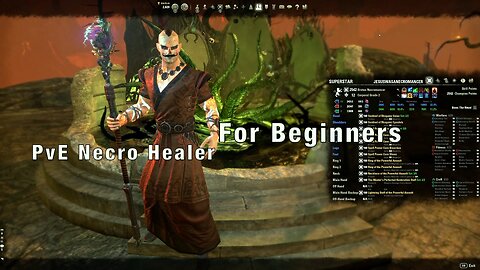 ESO Necromancer Healer PvE Build for Beginners [QuickGuide]