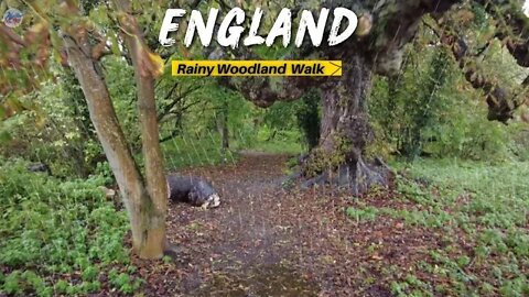 A Relaxing Walk in the Rain || English Countryside