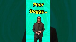 Poor doggy | dark news #shortsfeed #darkcomedy #shortscomedy #shorts #dog #news #fypシ #explorepage