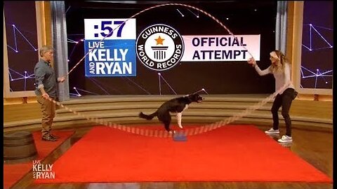 Rocky the Dog Attempts Double Dutch Guinness World Record