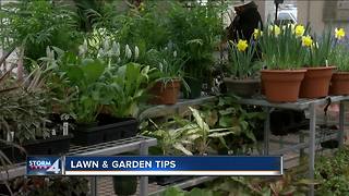 Gardening tips for this spring