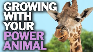 Growing With Your Power Animal