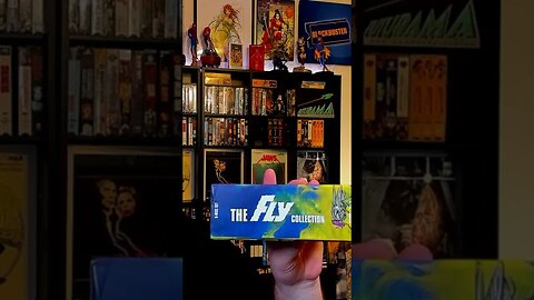 The Fly boxset 5 horror movies #shorts #physicalmedia #vincentprice #jeffgoldblum #horror
