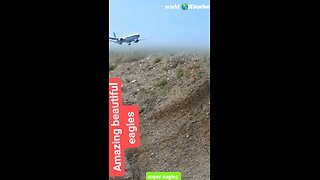 JUNGLE LANDING//✈️😱😎🔥#shortvideo