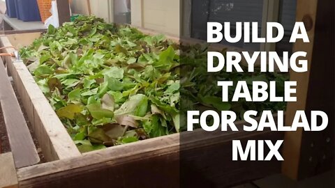 How to Build a Drying Table for Salad Mixes Post Harvest