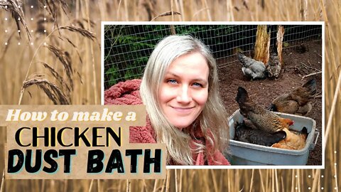 How to make a Chicken Dust Bath | Dust bath for Chickens