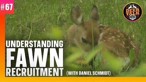#67: UNDERSTANDING FAWN RECRUITMENT with Daniel Schmidt | Deer Talk Now Podcast