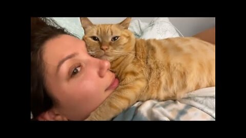 Try Not To Laugh Animals | Funniest Cat Videos In The World | Funny Animal Videos #128