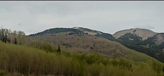 San Juan National Forest, Colorado. Forest road 316 campsite review