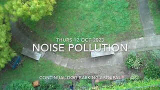 Noise Pollution : Dog Squeal : 12 Oct 23 : 17.10hrs Bacton Tower NW5