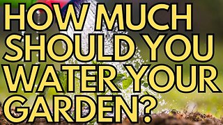 💧 How Much Should You Water Your Vegetable Garden? 💧