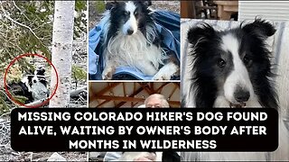 Missing Colorado hiker's dog found alive, waiting by owner's body after months in wilderness