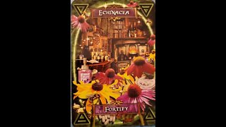 #17 Witches Kitchen Oracle Cards Echinacea