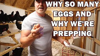Why so many eggs and what we're prepping for