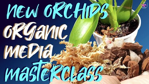 New Orchids | Different organic media | Repot tips without new root growth | Coconut shell care! 🥥🌱