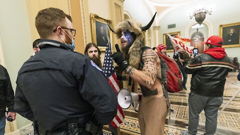 Are Police Doing Enough To Track Down The Capitol Mob?