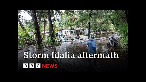 Millions in Florida struggle with aftermath of Storm Idalia - BBC News