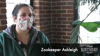 Potter Park Zoo's Birthday Video for Jaali