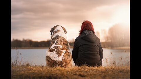 How to Becoming Your Dog's True Best Friend