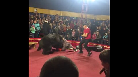 Horrify moment ‘depressed’ circus bear savages trainer in front of screaming children