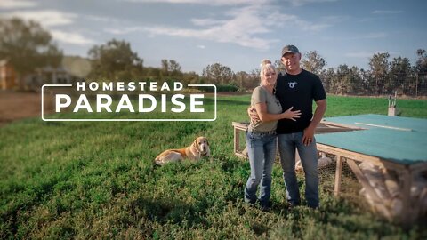 9 Years of "Simple Living" Building a Homestead Paradise | PARAGRAPHIC