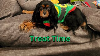 🐶🎄 Safe & Festive Treats for Dogs: Your Pup's Holiday Feast Without the Grinch!