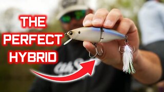 The PERFECT SWIMBAIT/CRANKBAIT Hybrid