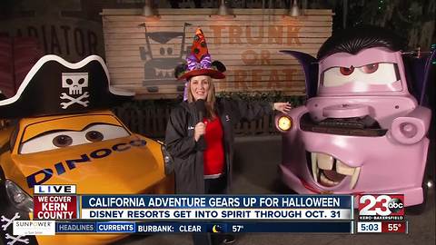 Chief Meteorologist brings us the forecast from the happiest place on earth