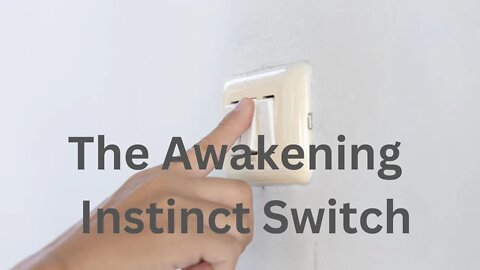 The Awakening Instinct Switch ∞The 9D Arcturian Council, Channeled by Daniel Scranton 12-04-2022