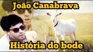 Escolinha do Professor Raimundo; João Canabrava, História do bode 🐐