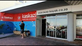 SOUTH AFRICA - Cape Town - Table Bay Kayaking (Video) (kSs)