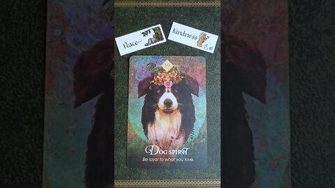 Cancer ♋ Love Reading 22nd - 28th August 2022 #lovetarot #loveoracle #lovereading