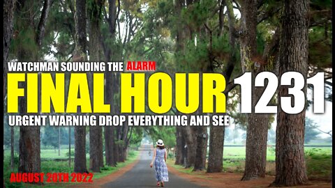 FINAL HOUR 1231 - URGENT WARNING DROP EVERYTHING AND SEE - WATCHMAN SOUNDING THE ALARM