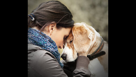 DOG LOVE AND BEST MOVEMENT OF OWNER AND PET IN THE WORLD