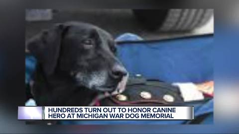Marine dog laid to rest in Oakland County after battling cancer