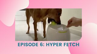 Hyper Fetch