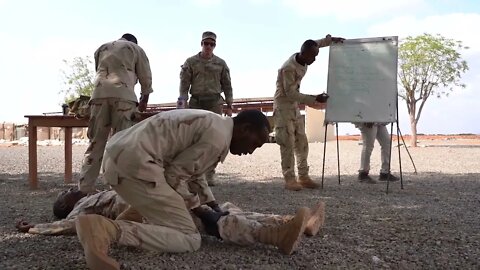 Security Forces Assistance Brigade, Djibouti #Shorts