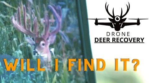Searching For A Once In A Lifetime Buck: Drone Deer Recovery