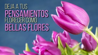 Deja a Tus Pensamientos Florecer Como Bellas Flores