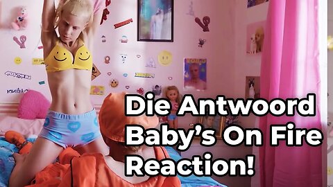 WTF! 🎵 Die Antwoord - Baby's On Fire REACTION!