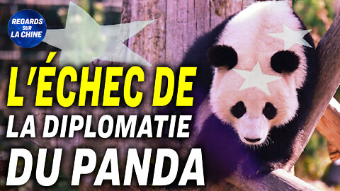 Confinement à Shanghai : l'enfer rouge ; La diplomatie chinoise du panda a-t-elle perdu son éclat?